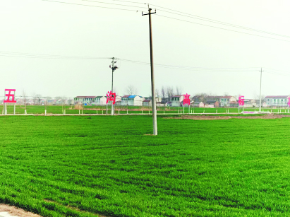 111111235.jpg 111111235.jpg